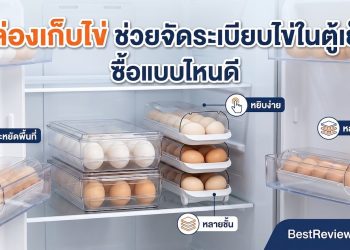 กล่องเก็บไข่ ซื้อแบบไหนดี