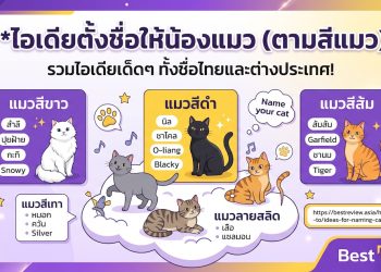 ไอเดียตั้งชื่อให้น้องแมวตามสีแมว