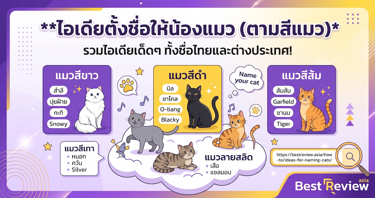 ไอเดียตั้งชื่อให้น้องแมวตามสีแมว