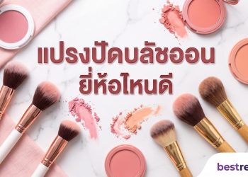 แปรงปัดบลัชออน ยี่ห้อไหนดี