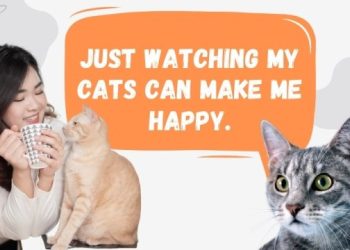 แคปชั่นคนรักแมว ทาสแมว ภาษาอังกฤษ – I’m a cataholic